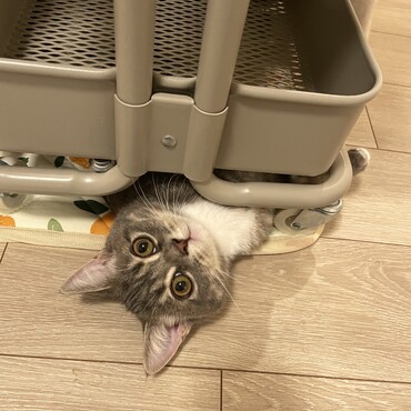 の写真