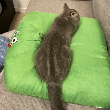 の写真