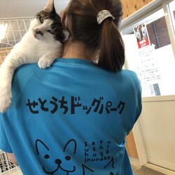 保護犬猫の譲渡会 in せとうちドッグパーク