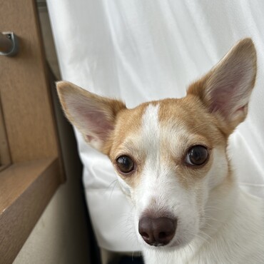 の写真