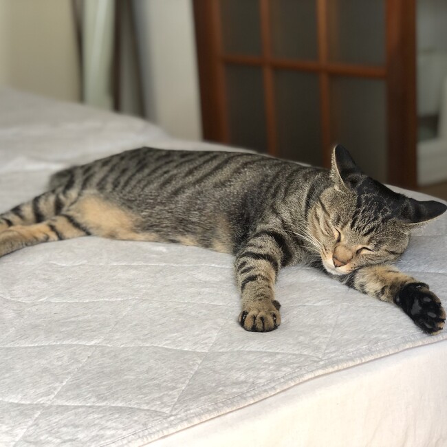 みとかんのカバー写真