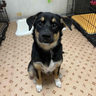 食欲旺盛！元気いっぱいな女の子、カムサちゃん♪