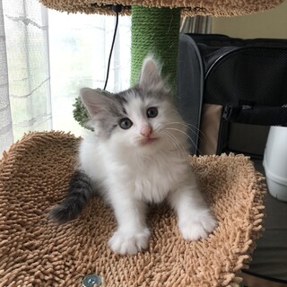 生後3ヶ月の男の子