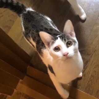 動画必見☺️お歌の合いの手が出来ます✨