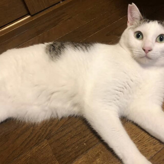 お名前を呼べば元気にお返事❣️動画必見❗️