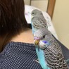 Noriko.M