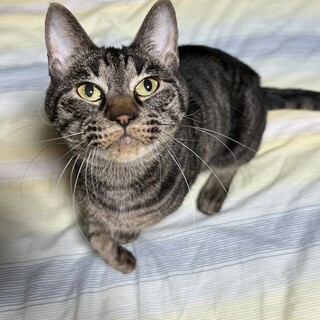 穏やかで落ち着いた子♡じゆうくん