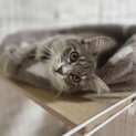 良いご縁に繋がりました。