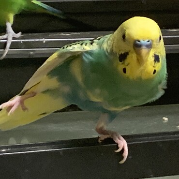 の写真