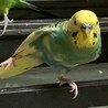 の写真