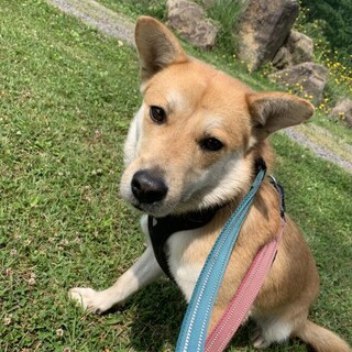 おっとりマイペースな【ウリエル】ちゃん♡