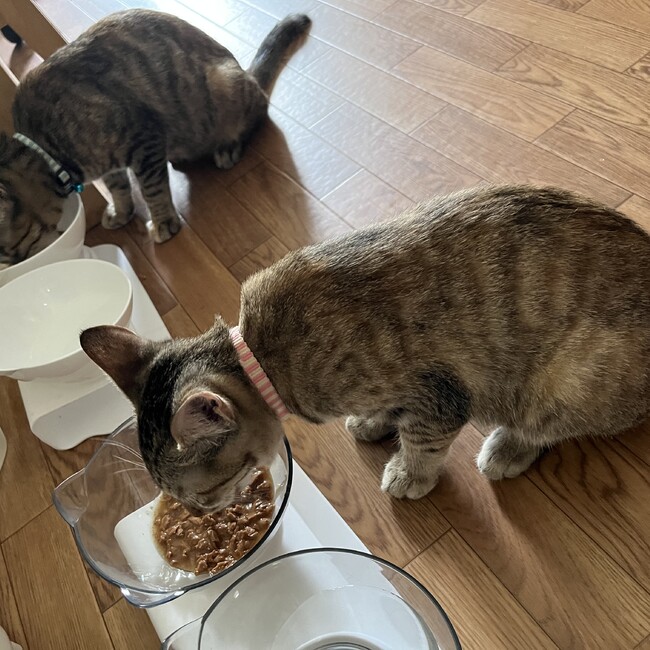李凛のカバー写真