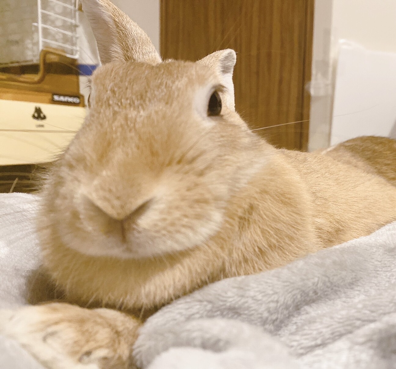 ☆募集停止　マイペースな女の子【なずなちゃん】 サムネイル7