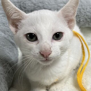 里親決定☆ファミ君マート君