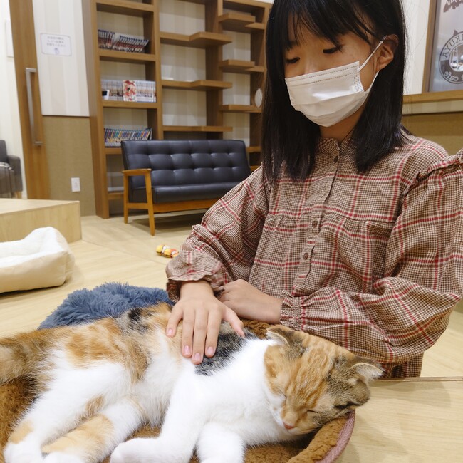 みぃまゆのカバー写真