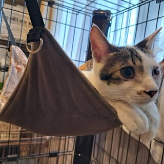 ビビリな甘えん坊♪誠くん