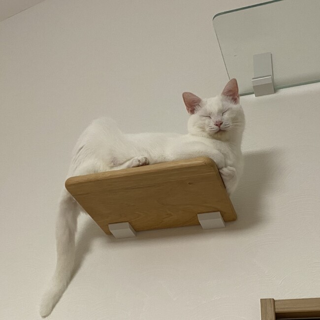 あすをのカバー写真