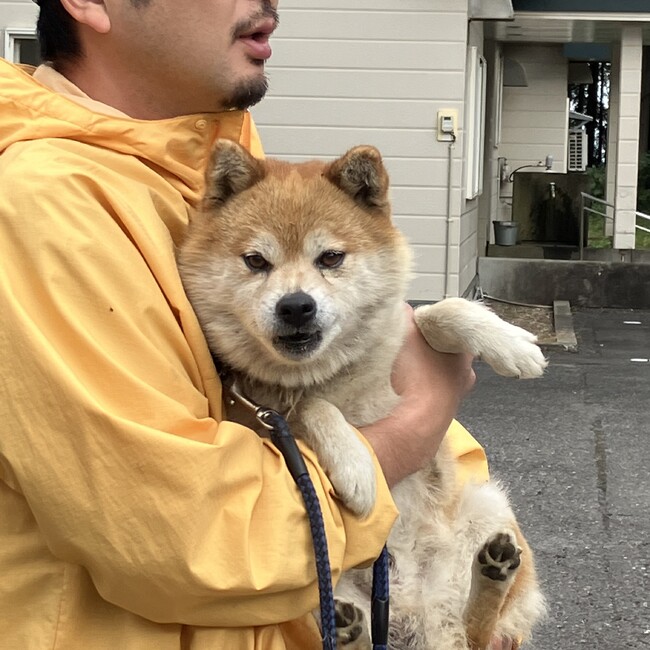 ぺいぺいぺいぺのカバー写真