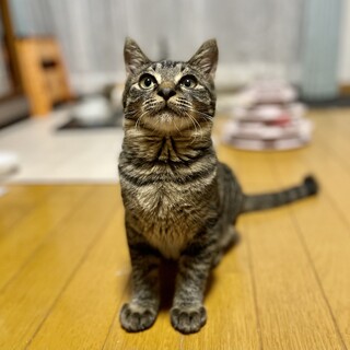 臆病だけと遊ぶの大好きな男の子