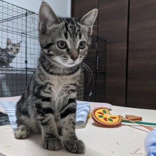 元気でちょっぴり怖がりの女の子