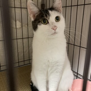 〝ポップちゃん〟です♪