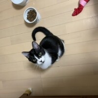 壱(イチ[