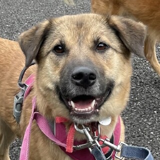 自然豊かな場所が好き！大きめミックス女子