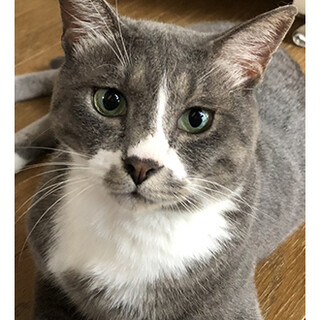 イケメン・ネック君・オス