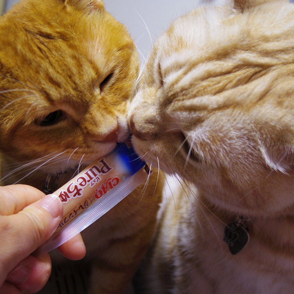 瓈梦（りむ）のカバー写真