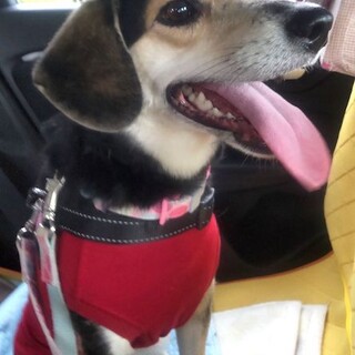 素直で元気、甘えん坊の女の子みさき