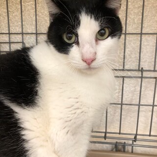 パッチリお目目のイケメン♡りおんくん