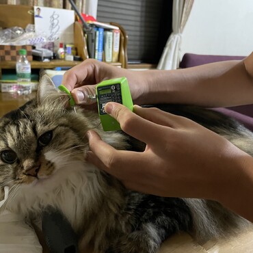 もしもし〜