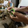 もしもし〜