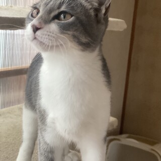目が合った瞬間から喉をゴロゴロ！人馴ればっちり！
