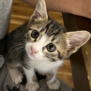 元気いっぱい☆遊ぶの大好きあむくん