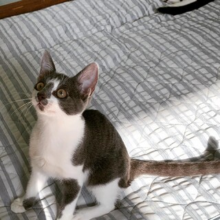 チャーミングで人見知りな女の子♡