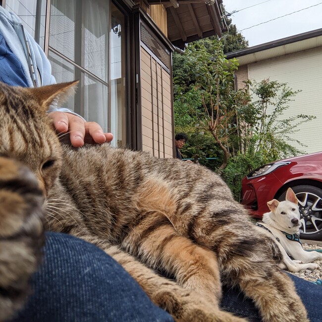 ほのりんすきーのカバー写真