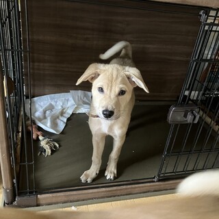 一旦募集停止します。ぼく、頑張ってます！！