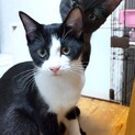 しおくん　兄弟で一番おっとりな男の子