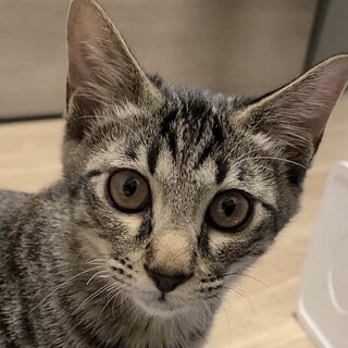 元気いっぱい！オモチャ大好き☆こうちゃ君❣️