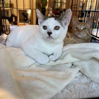 困り顔の男の子♪