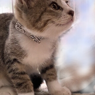 オレンジちゃんと一緒に(#^.^#)