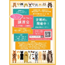 ネコトクラッセお見合い会(11月度)