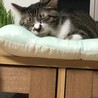 じぇいこ25