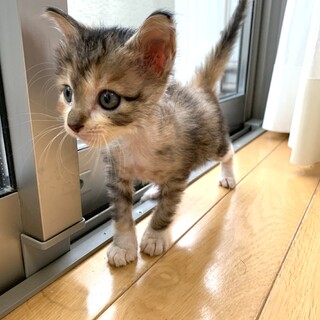 超フレンドリーな　ミミちゃん❣️