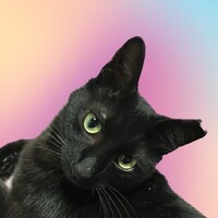 くうしろ