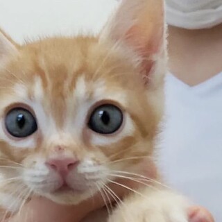 キセキのマキオ‼︎