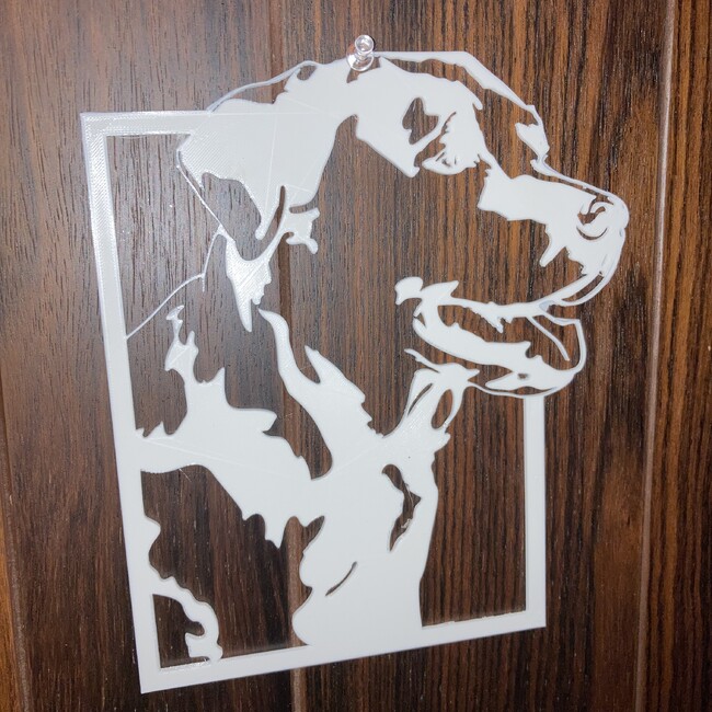 Maplesのカバー写真