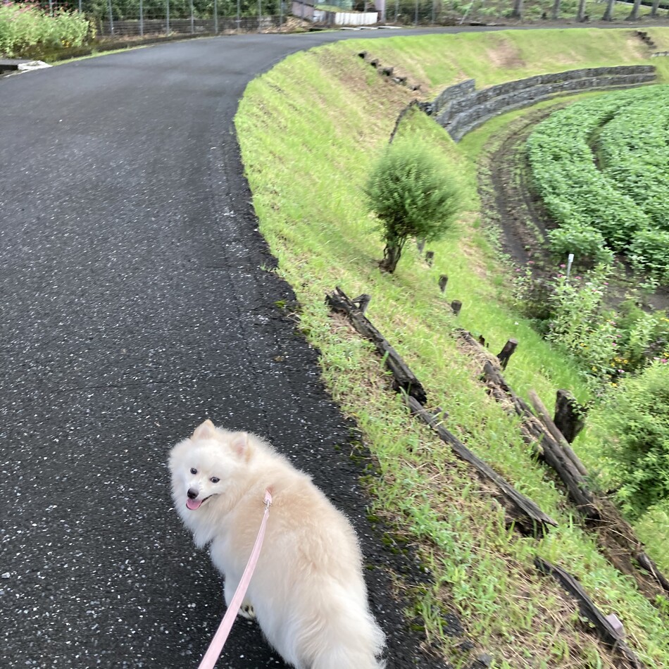 ゆきちのカバー写真