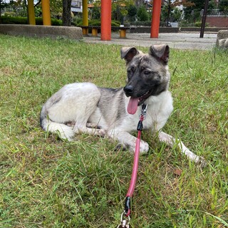 会いに来てください✴︎奥ゆかしい女の子です